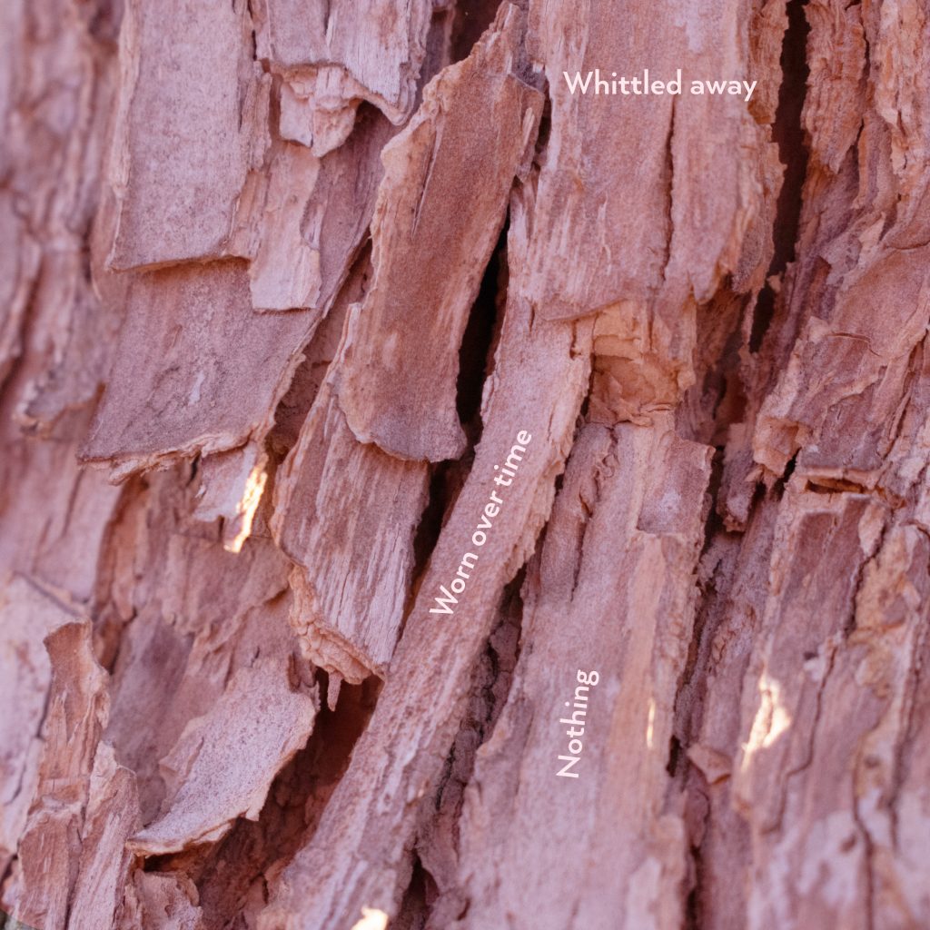 A page showcasing a wood texture with the text 'whittled away' from Erased Zine